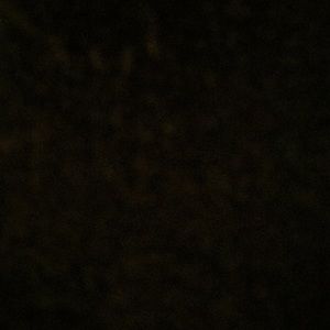 Meet your Posher, Jadah